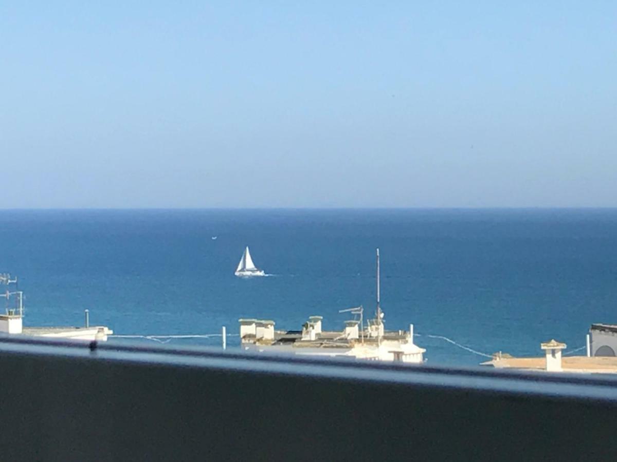 Da Rocha - Tarik Portimao